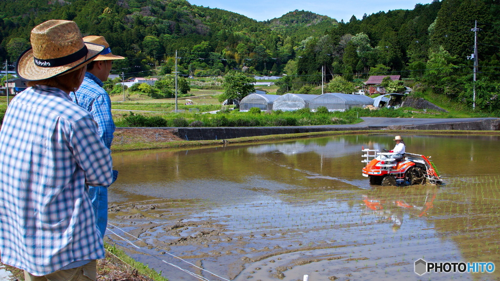 『 田植え日和 』Ⅱ