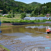 『 田植え日和 』Ⅱ