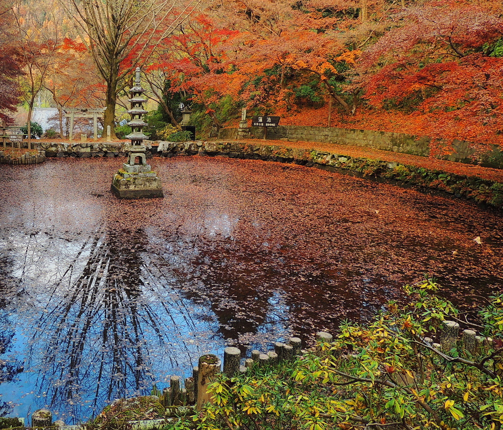 近場のお寺　（トリミング）