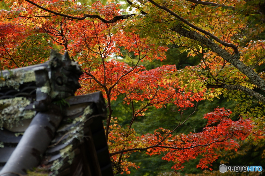 近場のお寺　３