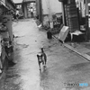 1974『 雨の日 』２