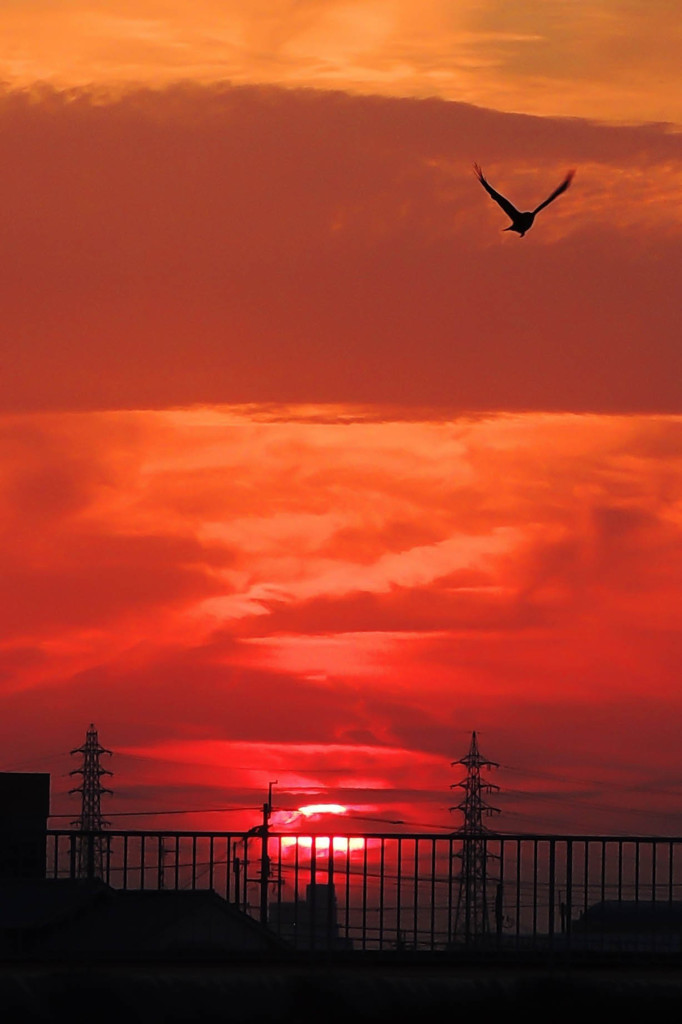仕事帰りの夕景　Ⅳ