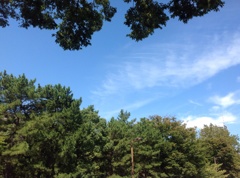 画伯の上にある空