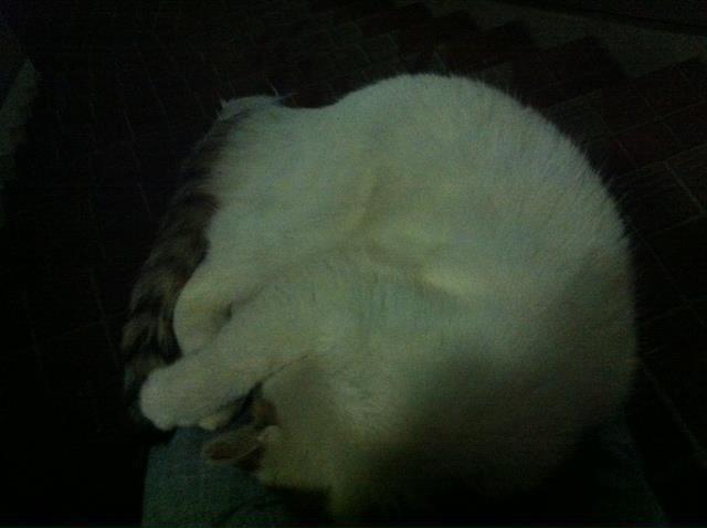 2011.11.29.白