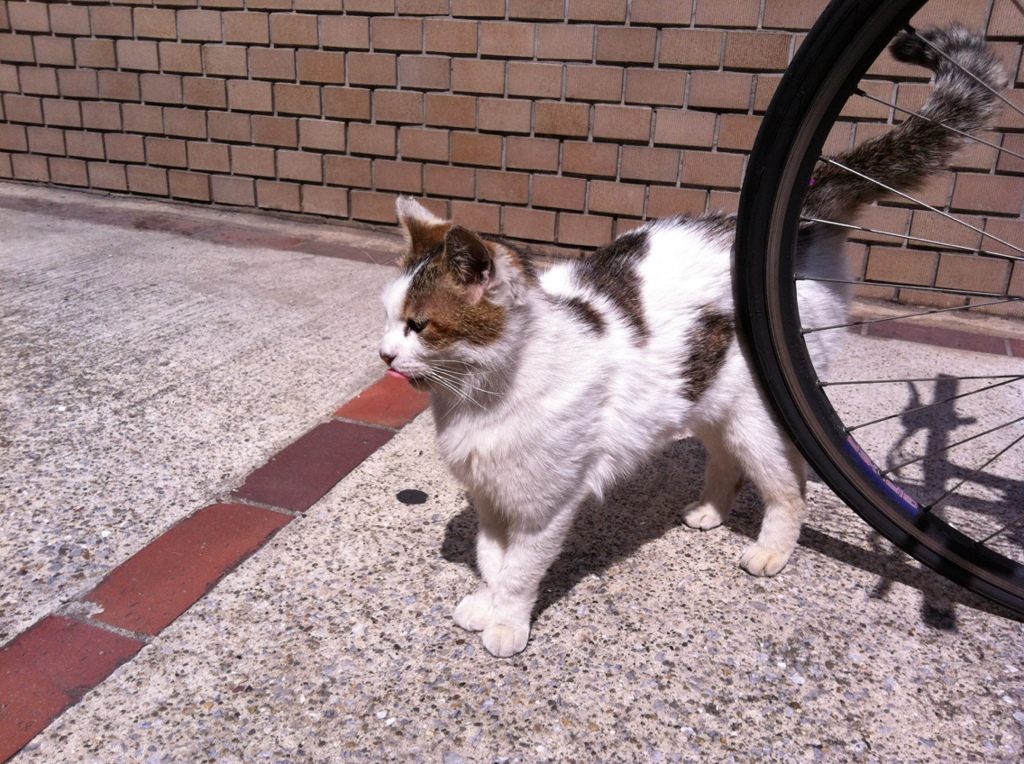 Photo 19