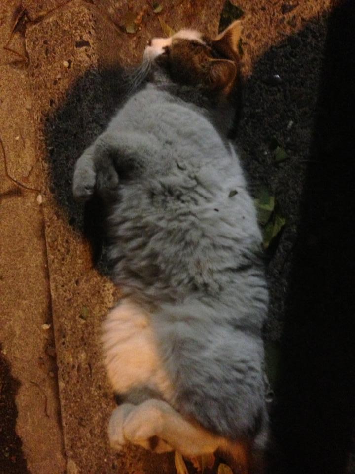 2013.4.3.白