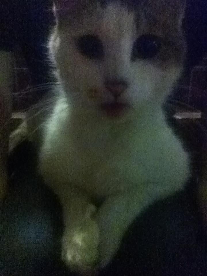 2012.6.5.白