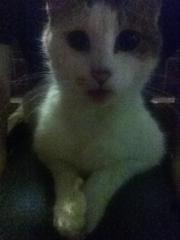 2012.6.5.白