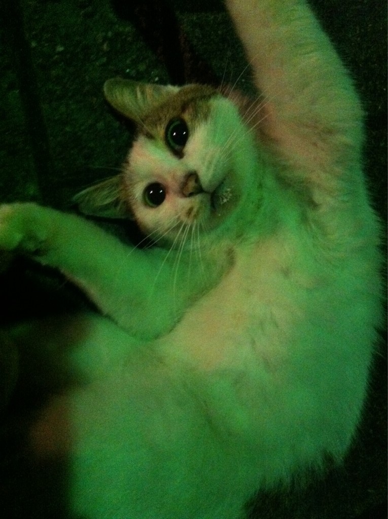 2012.6.16.白