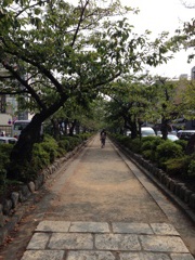 鶴岡八幡宮2013.8