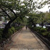 鶴岡八幡宮2013.8