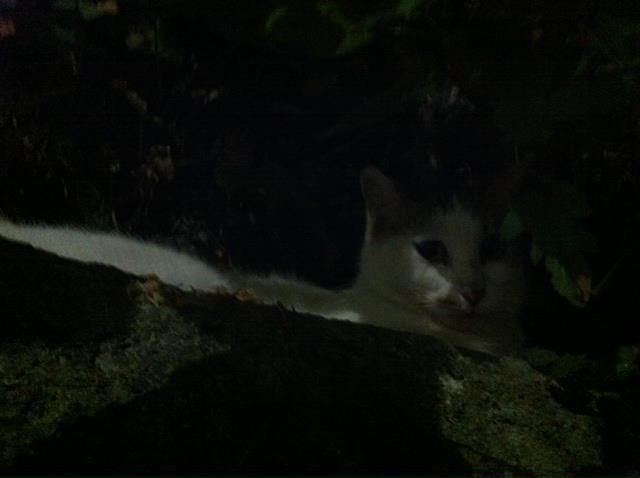 2011.8.17.2.白