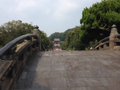 鶴岡八幡宮2013.8