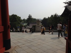 鶴岡八幡宮2013.8　