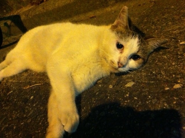 Photo 22