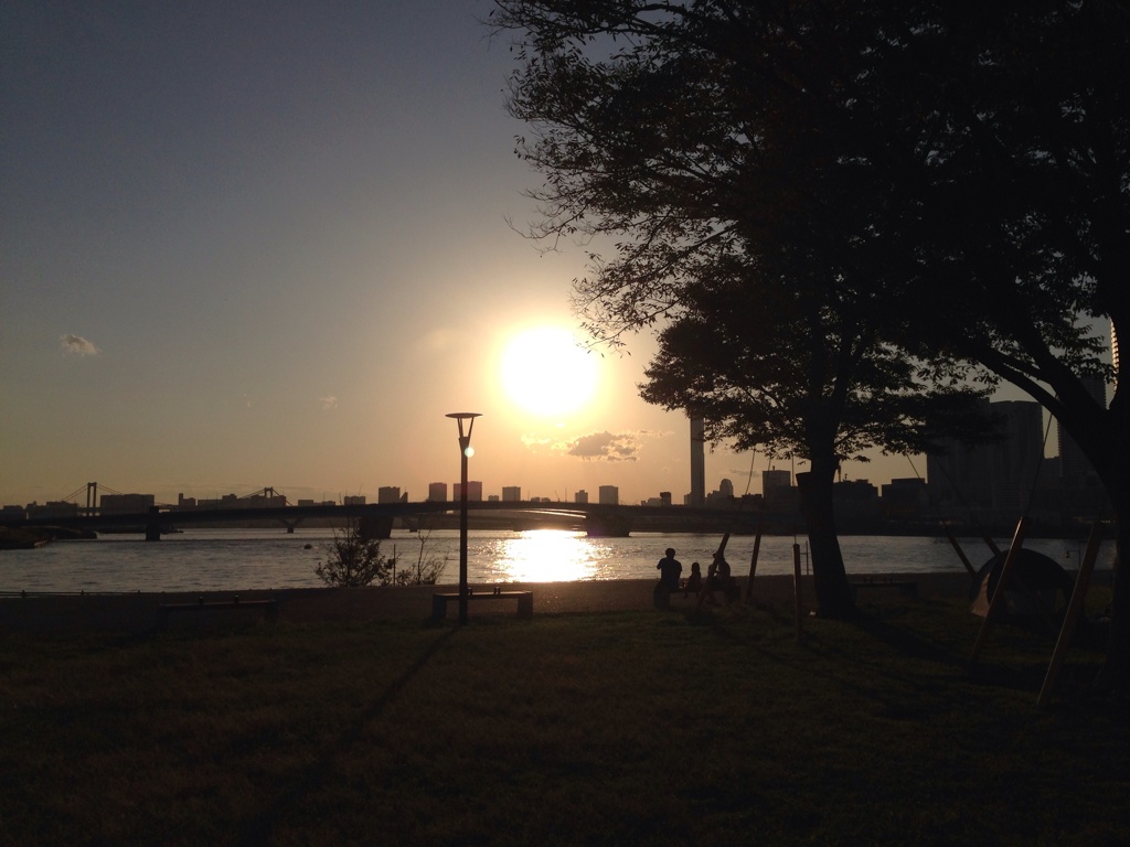 豊洲公園　夕陽