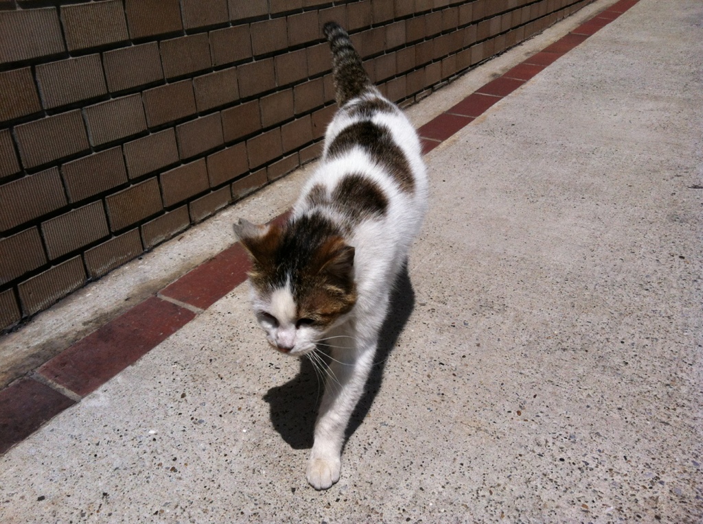 Photo 17