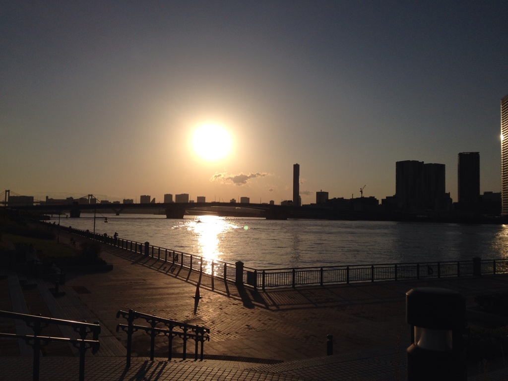 豊洲公園　夕陽