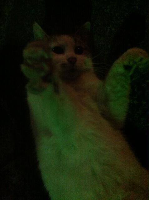 2012.4.10.6.白
