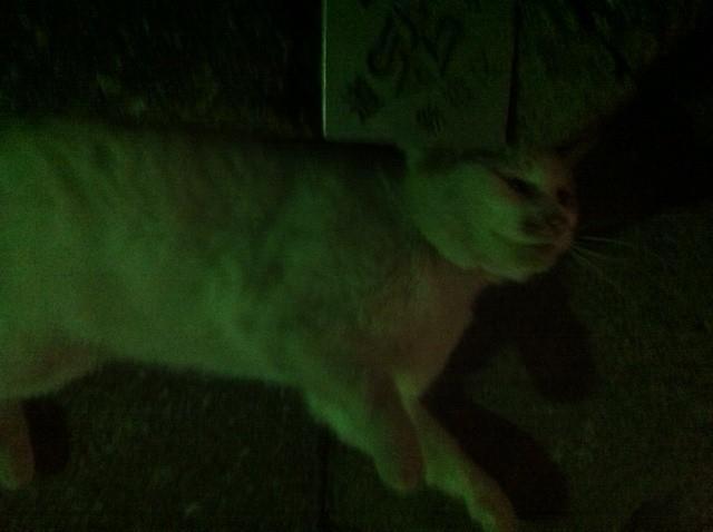 2012.4.10.4.白