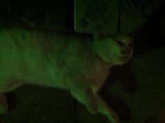 2012.4.10.4.白