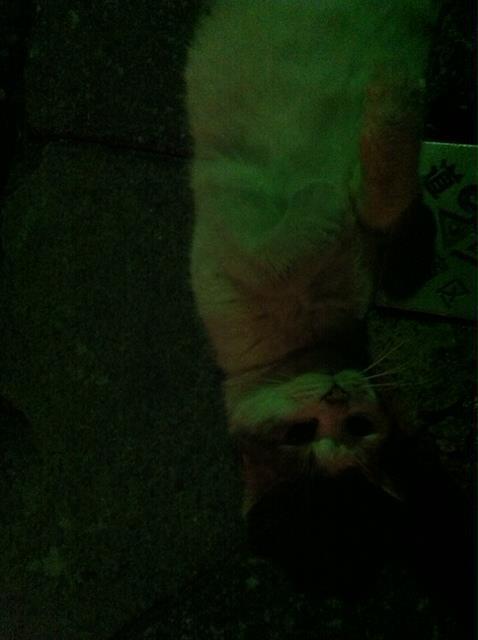 2012.4.10.5.白