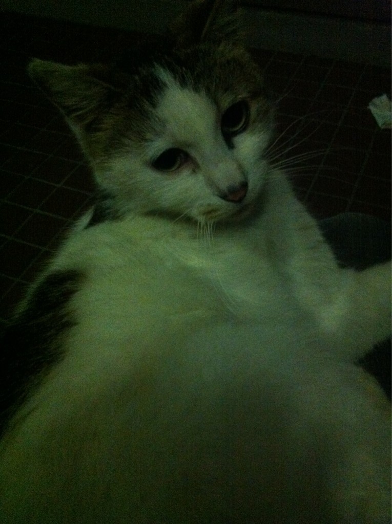 2012.5.9.白