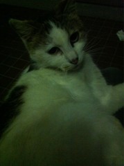 2012.5.9.白