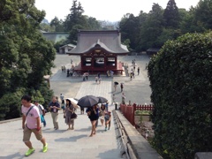 鶴岡八幡宮　2013.8