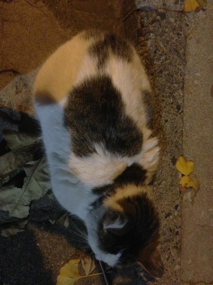 2013.12.9.白