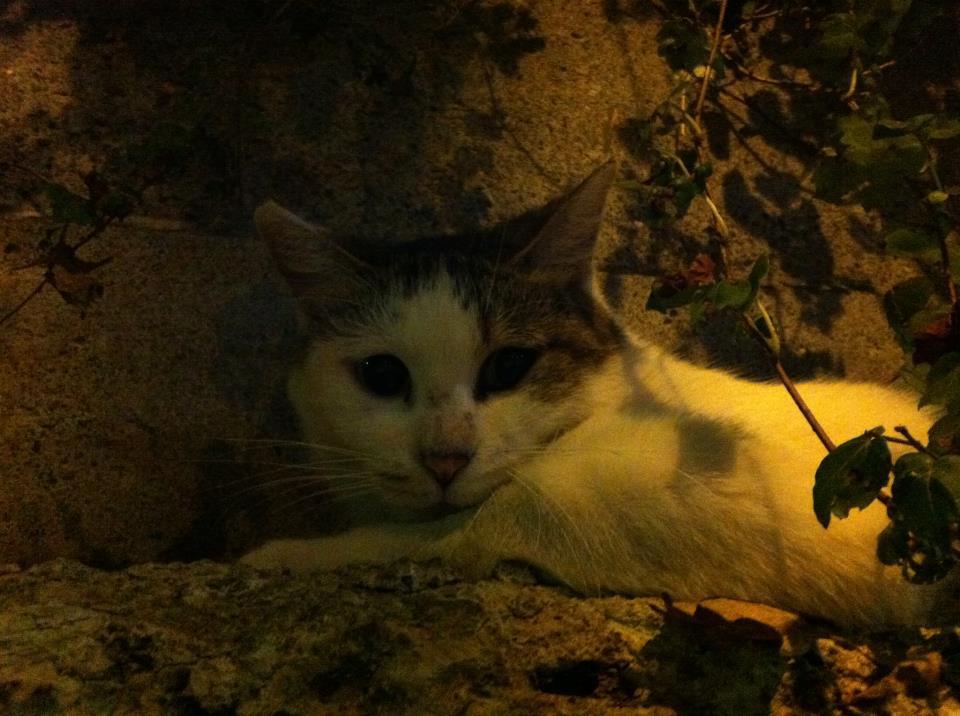 2012.8.25.白