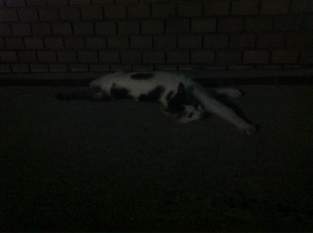 2011.8.30.白