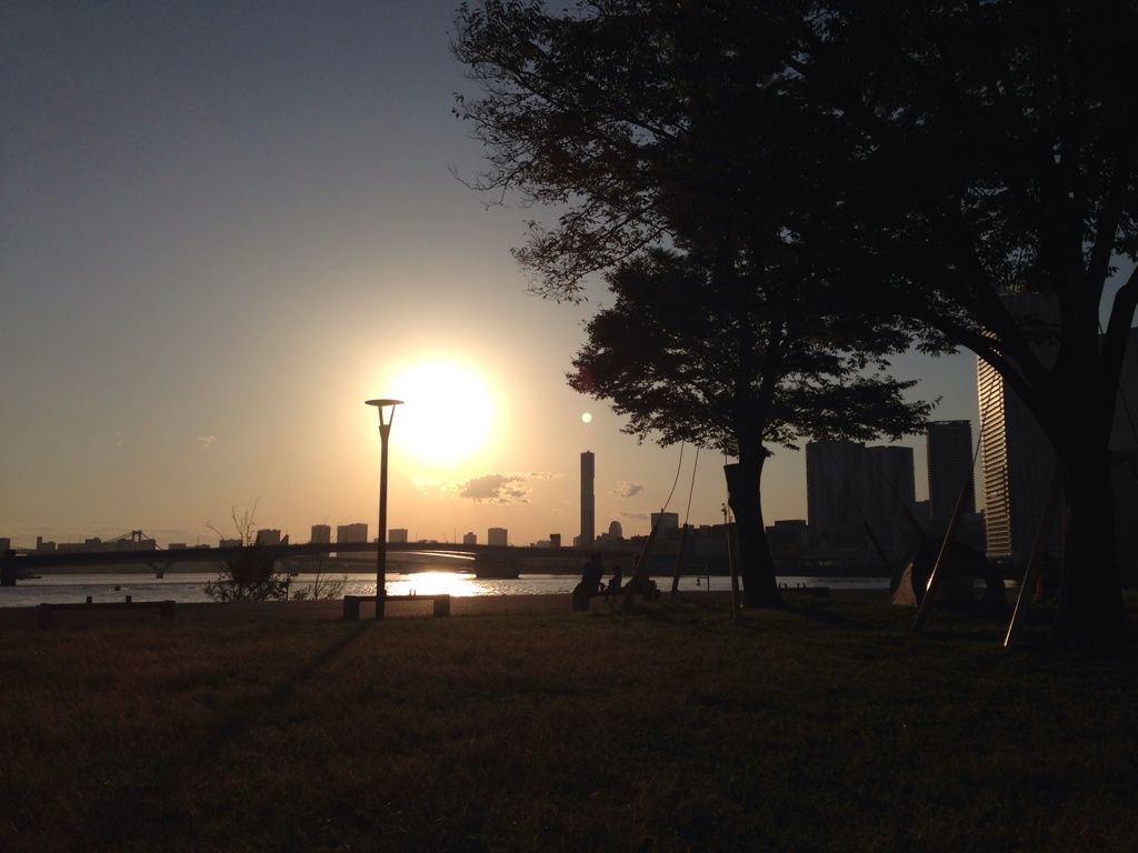 豊洲公園　夕陽