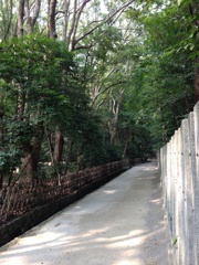 鎌倉　鶴岡八幡宮2013.8