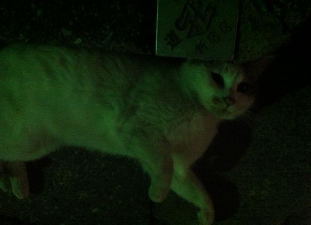 2012.4.10.白