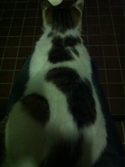 2012.6.3.白