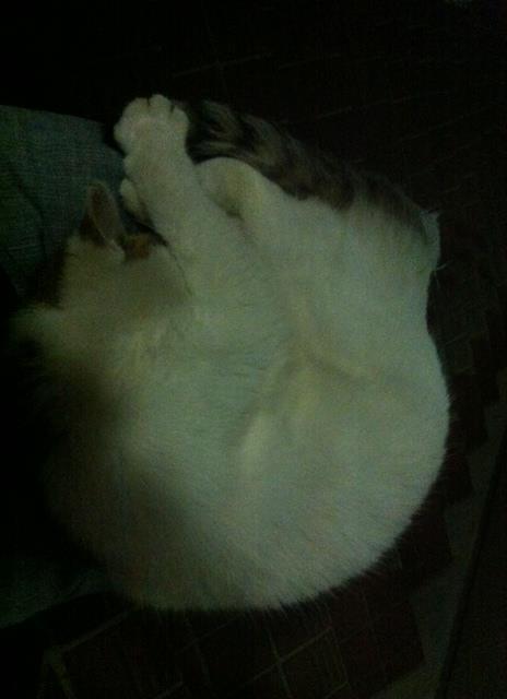 2011.11.29.5.白