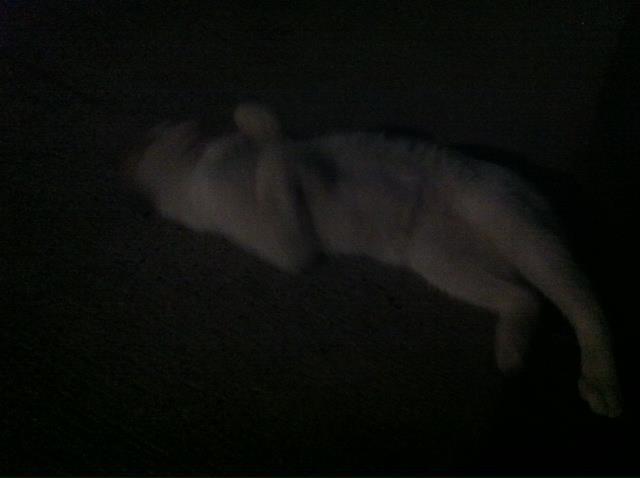 2011.8.17.白