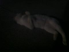 2011.8.17.白