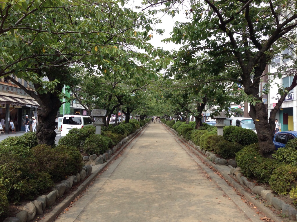 鎌倉　鶴岡八幡宮前2013.8
