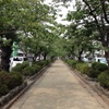 鎌倉　鶴岡八幡宮前2013.8