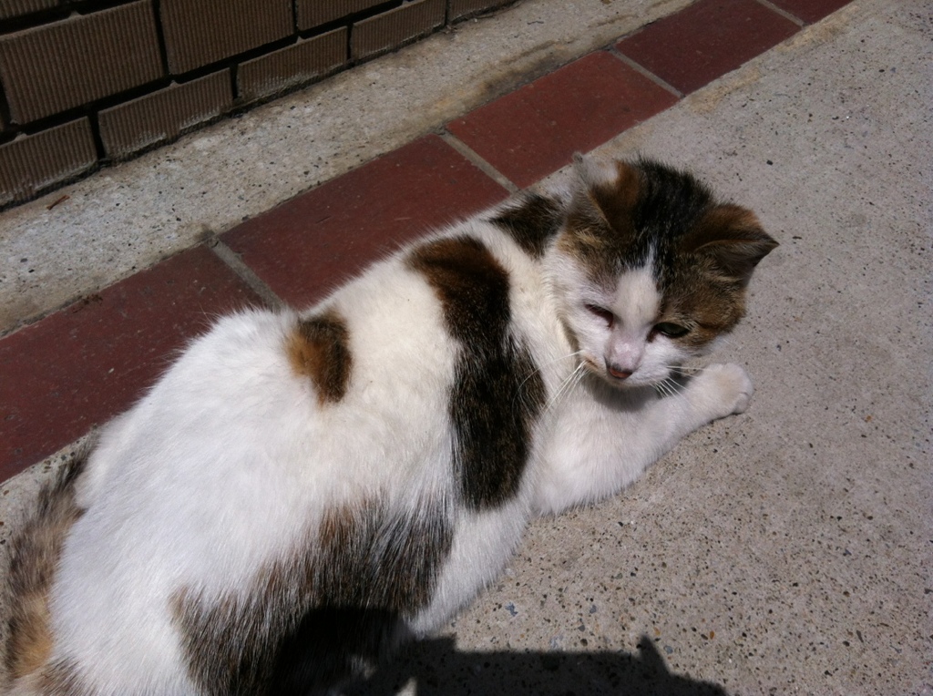 Photo 13