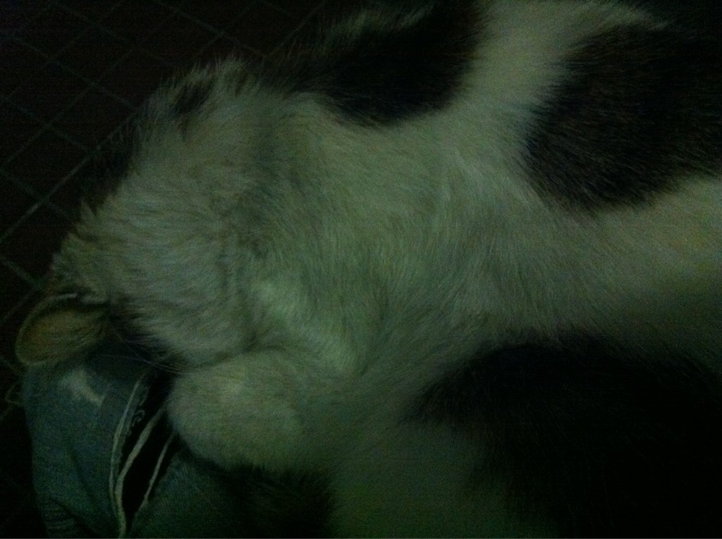 2012.4.6.白