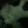 2012.4.6.白