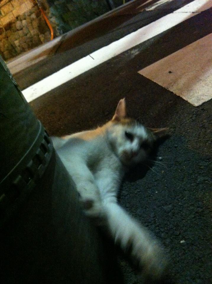 2012.8.11.白