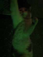 2012.4.9.2.白