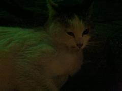 2012.4.10.2.白