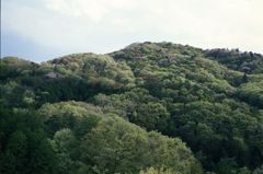 益子の山