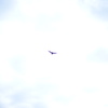 Sky and bird
