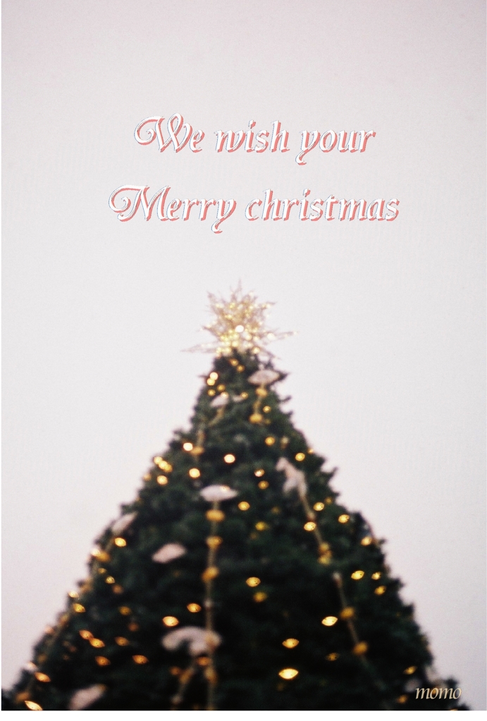 We wish your merry christmas